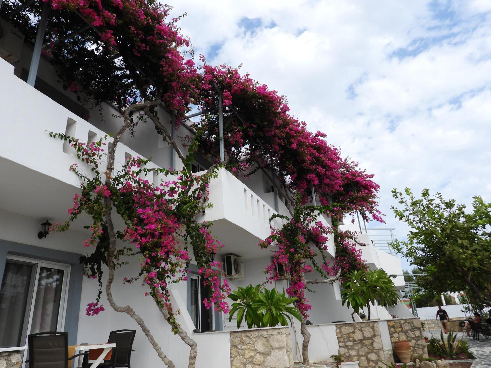 Studios Nina Amoopi Exterior photo